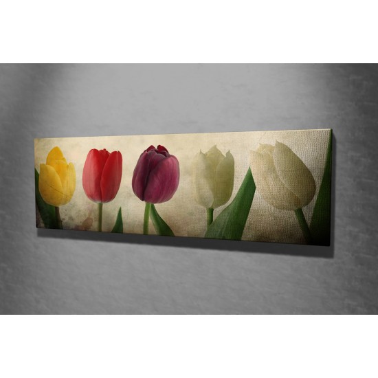 Wallxpert Decorative Canvas Painting PC147 Multicolor