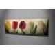 Wallxpert Decorative Canvas Painting PC147 Multicolor