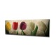 Wallxpert Decorative Canvas Painting PC147 Multicolor