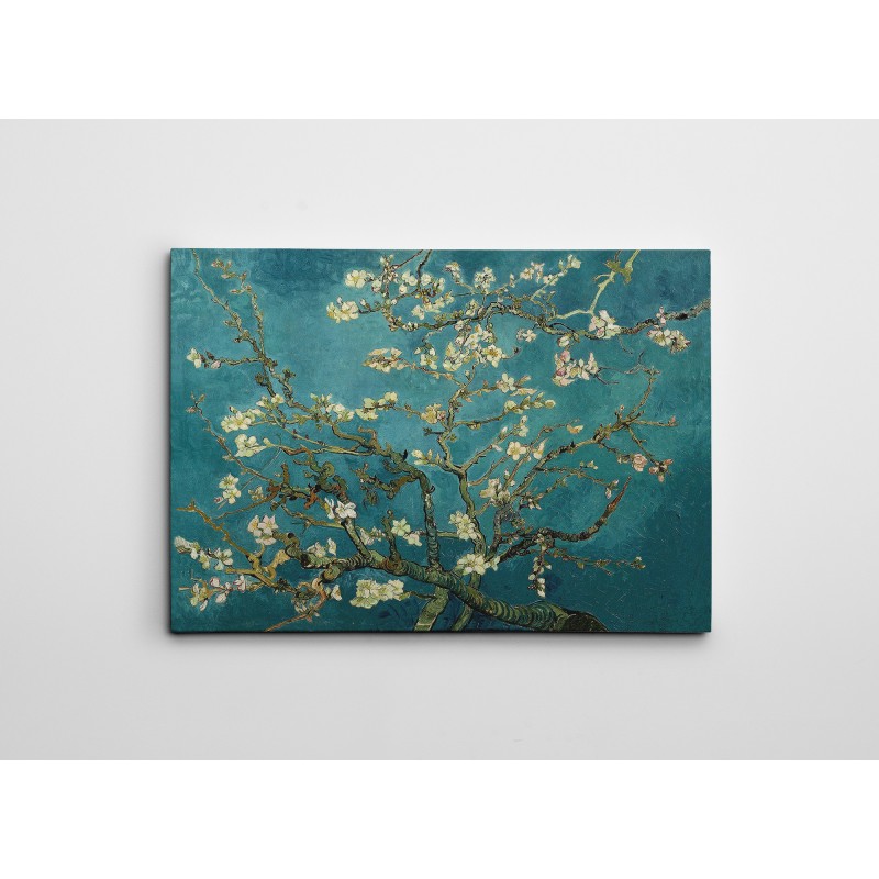 Wallxpert Decorative Canvas Painting WY113 (50 x 70) Multicolor