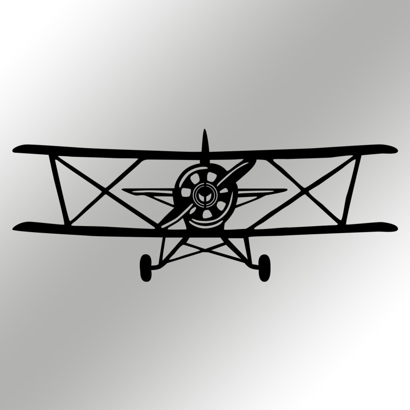 Decorative Metal Wall Accessory Vecihi Black