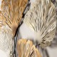 Decorative Metal Wall Accessory Myth - CH110-1 Multicolor Wallxpert Decorative Metal Wall Accessory Myth - CH110-1 Multicolor