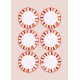 Service Plate Set (6 Pieces) JOY0007 Orange Service Plate Set (6 Pieces) JOY0007 Orange