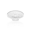 Cake Serving Plate CAM0496 Transparent