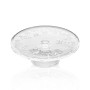 Cake Serving Plate CAM0496 Transparent