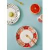 Dessert Plate Set (6 Pieces) DNR0057 Multicolor