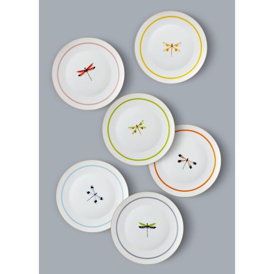 Service Plate Set (6 Pieces) DNR0060 Multicolor Service Plate Set (6 Pieces) DNR0060 Multicolor