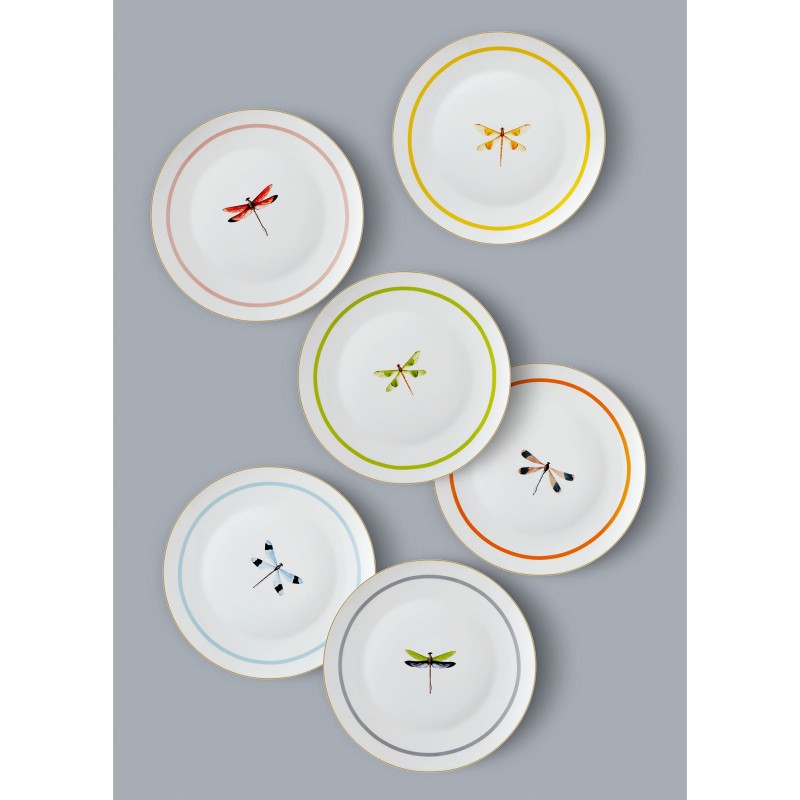 Service Plate Set (6 Pieces) DNR0060 Multicolor