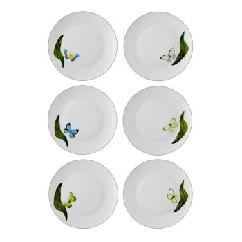 Service Plate Set (6 Pieces) DNR0064 Multicolor