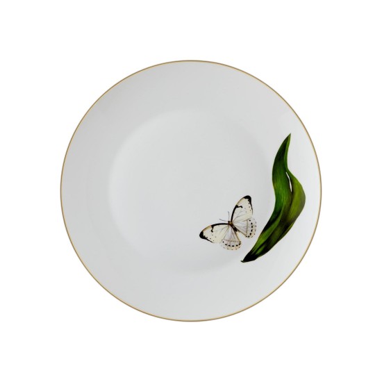 Service Plate Set (6 Pieces) DNR0064 Multicolor Service Plate Set (6 Pieces) DNR0064 Multicolor