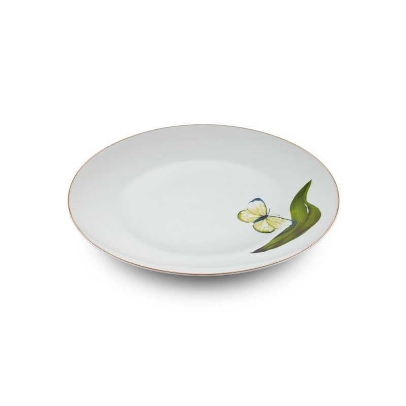 Service Plate Set (6 Pieces) DNR0064 Multicolor