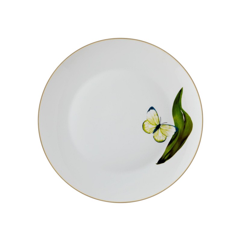 Service Plate Set (6 Pieces) DNR0064 Multicolor