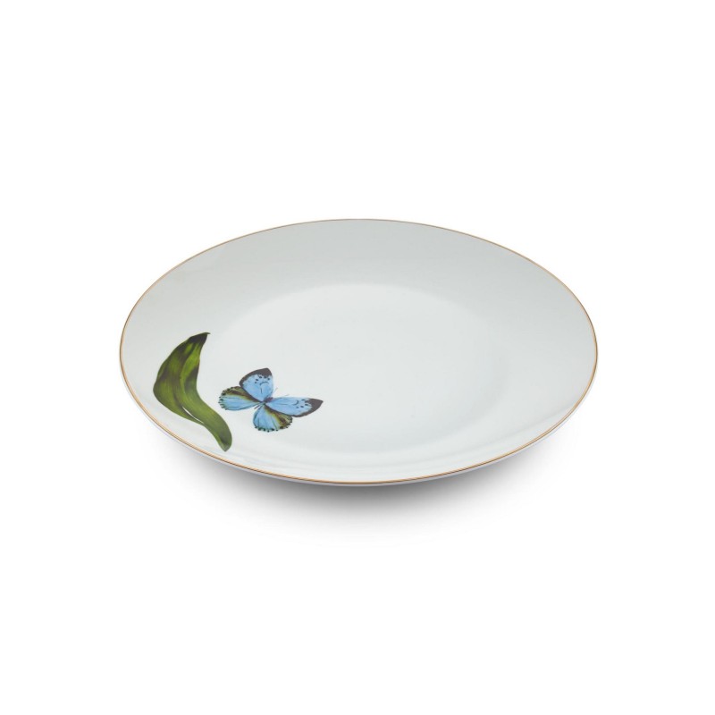 Service Plate Set (6 Pieces) DNR0064 Multicolor