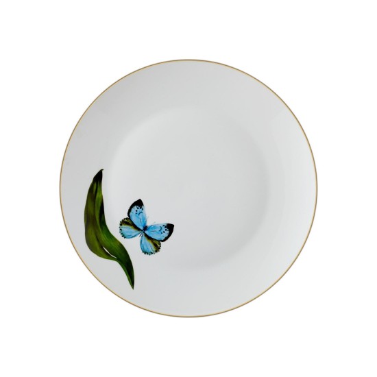 Service Plate Set (6 Pieces) DNR0064 Multicolor Service Plate Set (6 Pieces) DNR0064 Multicolor