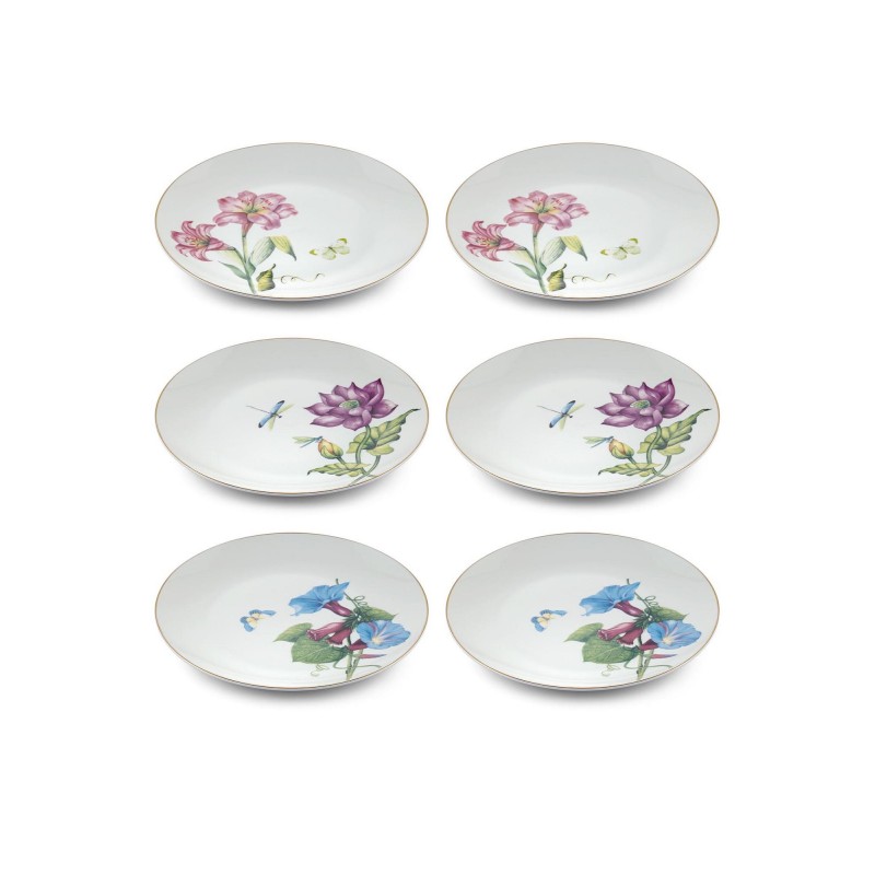Dessert Plate Set (6 Pieces) DNR0065 Multicolor