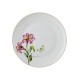 Service Plate Set (6 Pieces) DNR0066 Multicolor Service Plate Set (6 Pieces) DNR0066 Multicolor