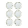 Dessert Plate Set (6 Pieces) DNR0067 Multicolor