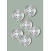 Dessert Plate Set (6 Pieces) DNR0079 Multicolor