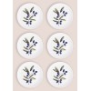 Service Plate Set (6 Pieces) OVS0003 Multicolor