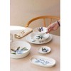 Plate Set (6 Pieces) OVS0011 Multicolor