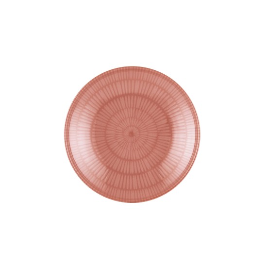 Plate Set (6 Pieces) NON0029 Salmon Plate Set (6 Pieces) NON0029 Salmon