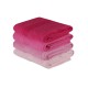 Lessentiel Hand Towel Set (4 Pieces) Rainbow - Pink Light Pink
Pink
Dusty Rose
Fuchsia
