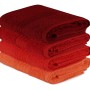 Hand Towel Set (4 Pieces) Rainbow - Red Pale Orange
Orange
Red
Fuchsia