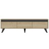 TV Stand Century - Sapphire Oak Sapphire Oak