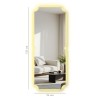 Mirror with Led Lighting 52135Ledayna-007 Multicolor