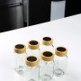 Jar Set (6 Pieces) Bade-6Lıkarebaharat Transparent