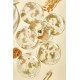 Dessert Plate Set (6 Pieces) Marmo Transparent