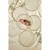 Dessert Plate Set (6 Pieces) Goblen - Transparent Transparent