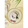Cake Serving Plate Paris 28 Transparent