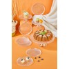 Dessert Plate Set (9 Pieces) Felix - Transparent Transparent