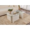 Coffee Table Vetrino - Wooden White Wooden White
