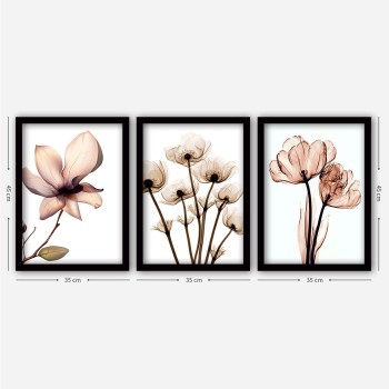 Decorative Framed Painting (3 Pieces) 3SC157 Multicolor