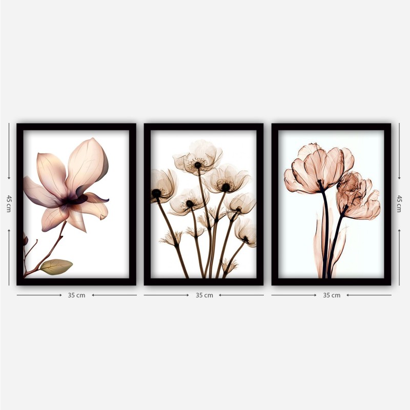 Decorative Framed Painting (3 Pieces) 3SC157 Multicolor