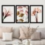 Decorative Framed Painting (3 Pieces) 3SC194 Multicolor