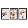 Wallxpert Decorative Framed Painting (3 Pieces) 3SC194 Multicolor