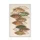 Hall Carpet (100 x 200) Eexfab822 Multicolor Conceptum Hypnose Hall Carpet (100 x 200) Eexfab822 Multicolor