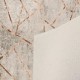 Conceptum Hypnose Carpet (180 x 280) Eexfab826 Multicolor