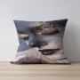 Cushion Cover a1181 Multicolor