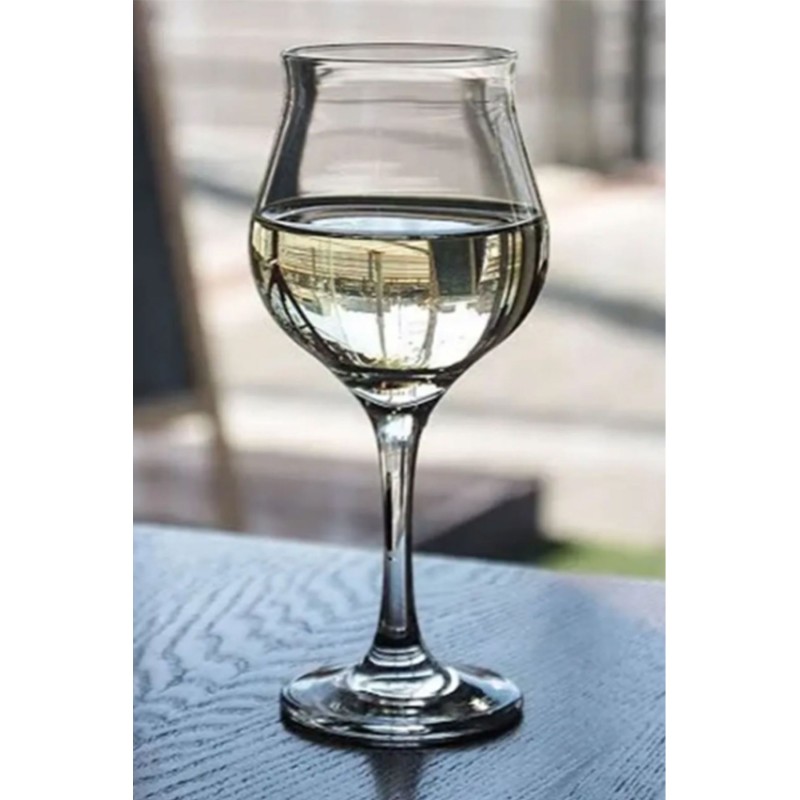 Wine Glass Set (6 Pieces) TXF188421287 Transparent