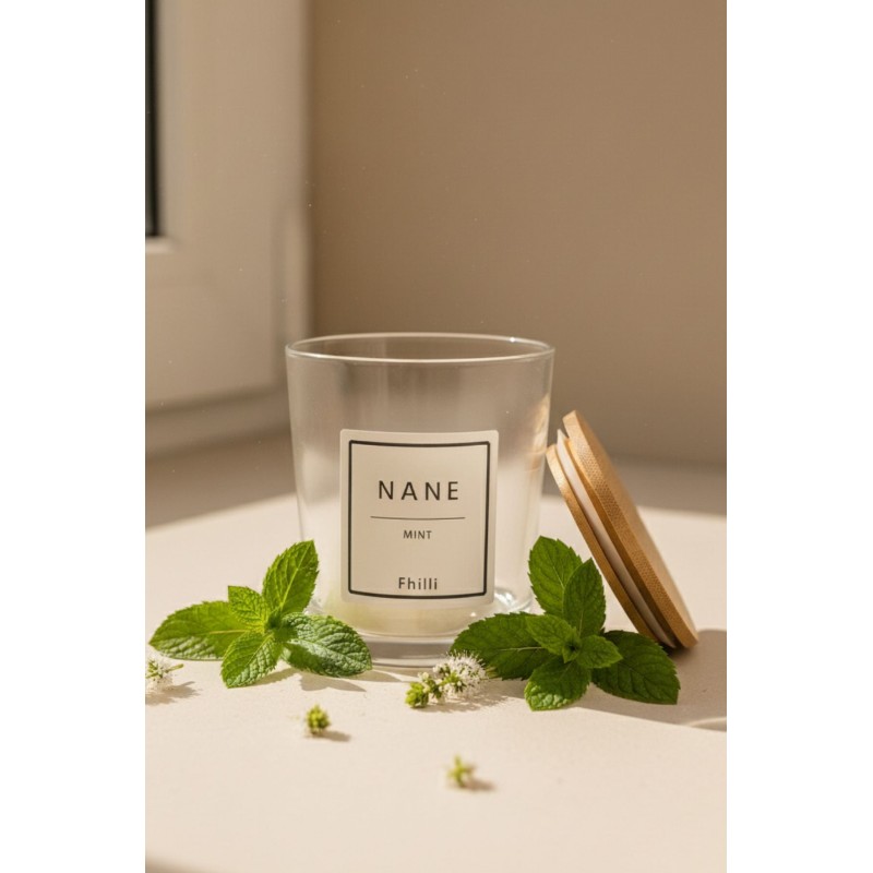 Spice Jar Set (8 Pieces) F10000193 Transparent