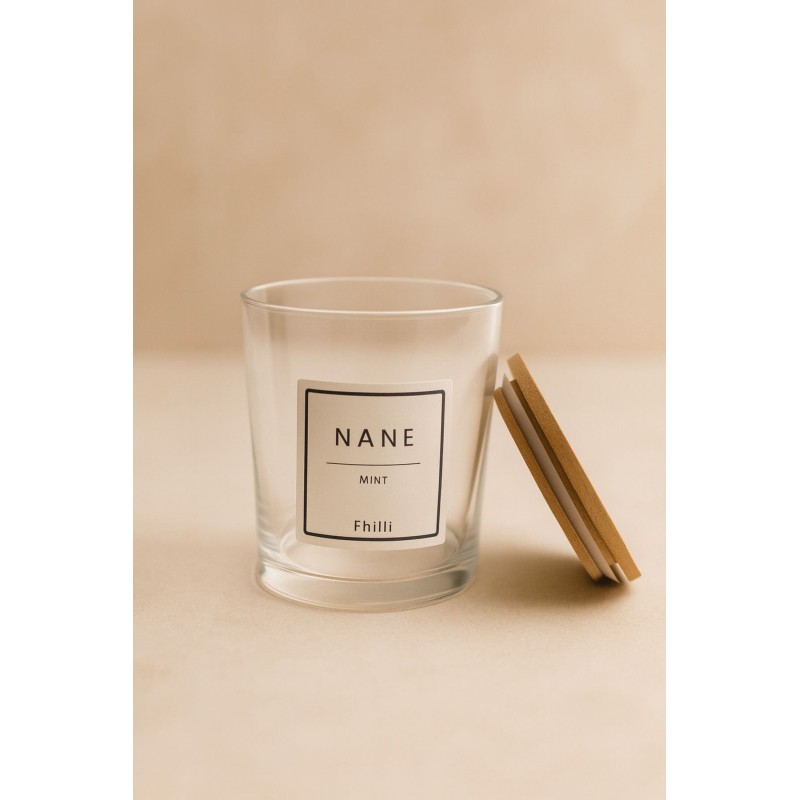 Spice Jar Set (8 Pieces) F10000193 Transparent