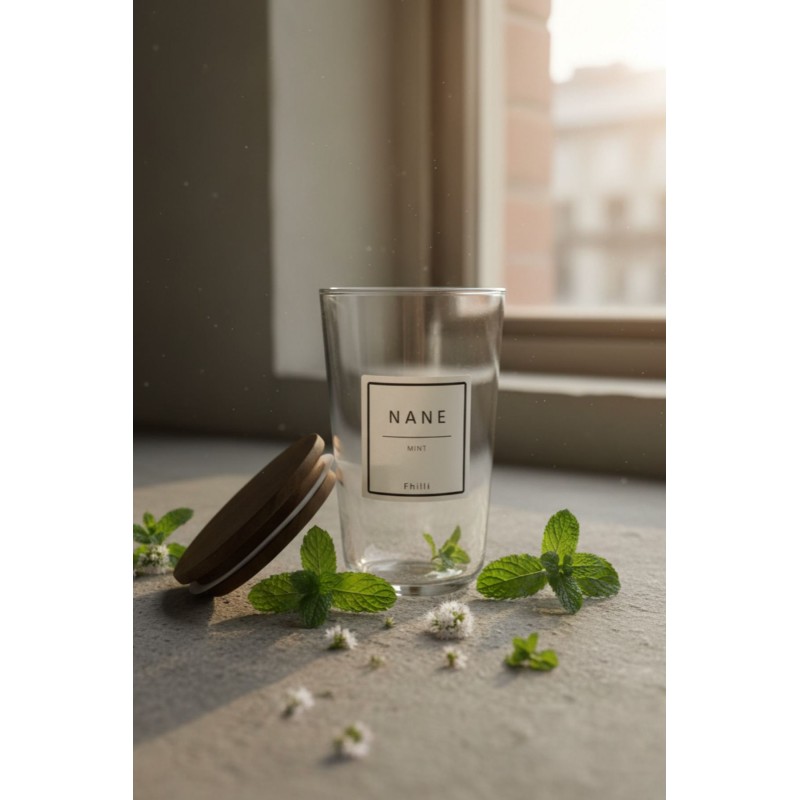 Spice Jar Set (12 Pieces) F10000192 Transparent