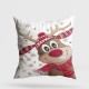 Aberto Design Cushion YY20235 Multicolor