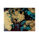 Decorative Canvas Painting 297812846_70100 Multicolor Wallxpert Decorative Canvas Painting 297812846_70100 Multicolor
