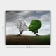 Wallxpert Decorative Canvas Painting 547593979_70100 Multicolor