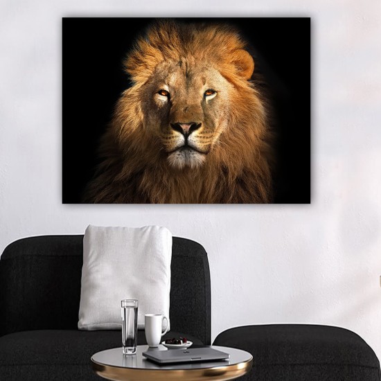 Decorative Canvas Painting 565032793_70100 Multicolor Decorative Canvas Painting 565032793_70100 Multicolor